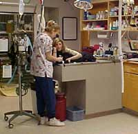 Georgetown Animal Clinic, PC - Veterinarian serving Williamsville, Amherst and Buffalo NY areas: Our Efficient Treatment Area Georgetown Animal Clinic, PC - Veterinarian serving Williamsville, Amherst and Buffalo NY areas: Our Efficient Treatment Area