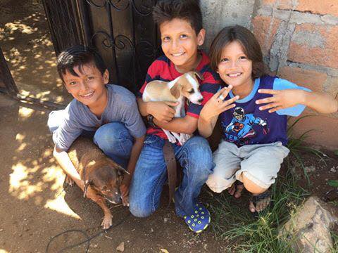 Dr. Newman and his wife Phyllis recently traveled to Guatemala where they were part of Mayan Families: Hope for the Animals.