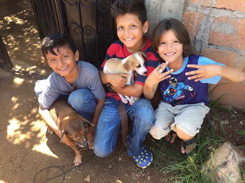 Dr. Newman and his wife Phyllis recently traveled to Guatemala where they were part of Mayan Families: Hope for the Animals. Dr. Newman and his wife Phyllis recently traveled to Guatemala where they were part of Mayan Families: Hope for the Animals.