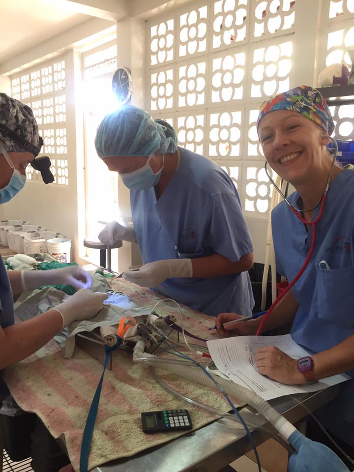 Dr. Newman and his wife Phyllis recently traveled to Guatemala where they were part of Mayan Families: Hope for the Animals.