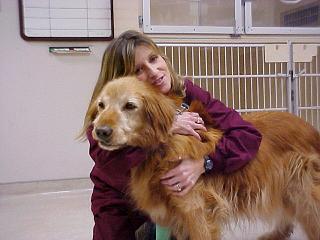 Georgetown Animal Clinic, PC - Veterinarian serving Williamsville, Amherst and Buffalo NY areas: Bonnie with Senior Dog