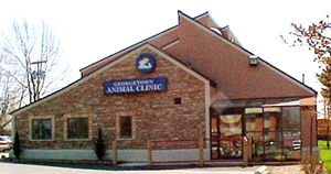 Georgetown Animal Clinic, PC - Veterinarian serving Williamsville, Amherst and Buffalo NY areas: Our Facility