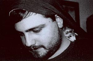 Adult Ferret sitting on owners shoulders Adult Ferret sitting on owners shoulders