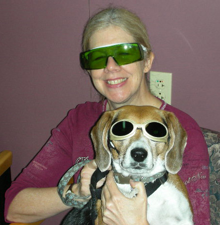 Georgetown Animal Clinic, PC - Veterinarian serving Williamsville, Amherst and Buffalo NY areas - MLS Laser Therapy