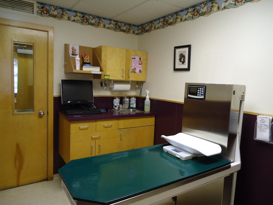 Georgetown Animal Clinic, PC - Veterinarian serving Williamsville, Amherst and Buffalo NY areas: One of Five Exam Rooms