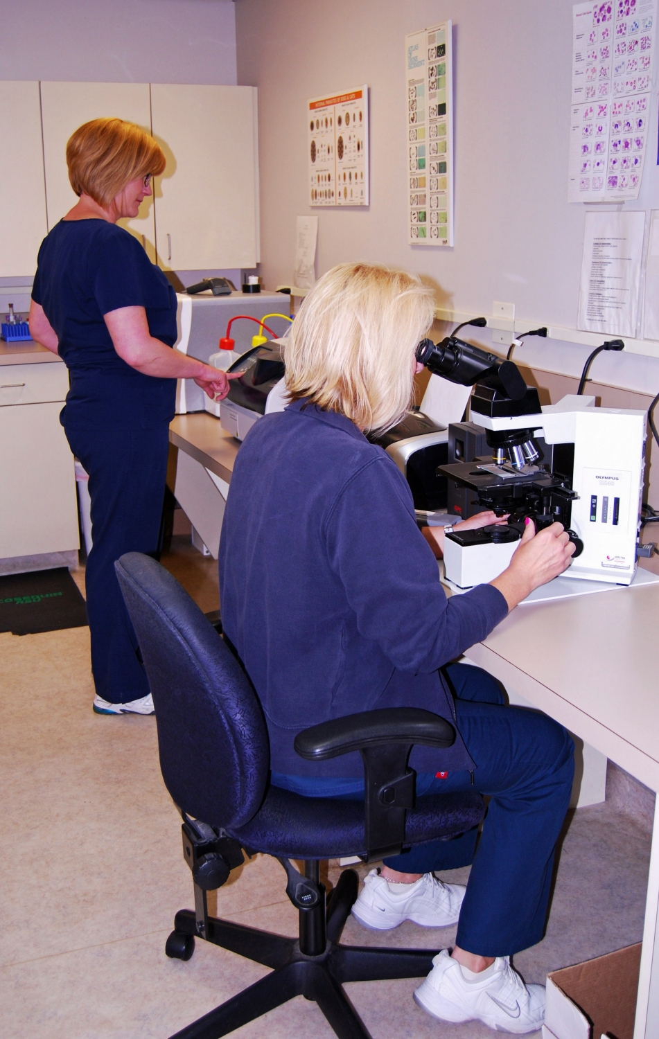 Georgetown Animal Clinic, PC veterinarians serving Williamsville, Amherst and Buffalo NY areas: Our State-of-the-Art laboratory Georgetown Animal Clinic, PC veterinarians serving Williamsville, Amherst and Buffalo NY areas: Our State-of-the-Art laboratory