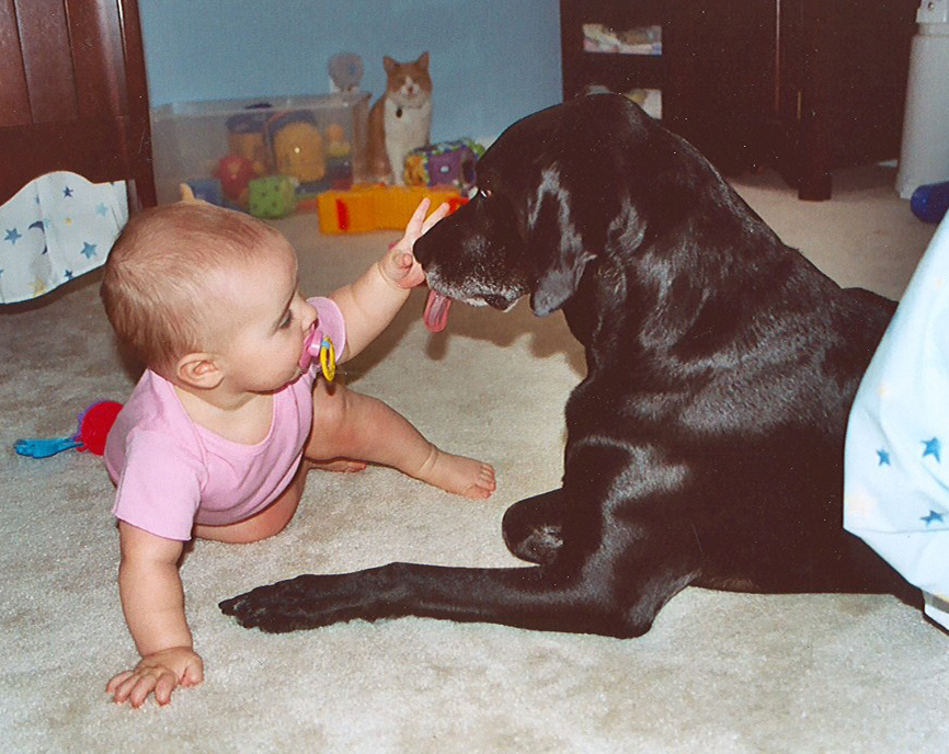 Baby playing with black puppy