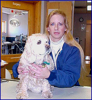 Cancer Therapy Image Cancer Therapy Image