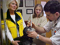 Tonopen being used on a dog's eye Tonopen being used on a dog's eye